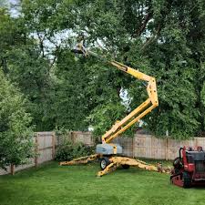 Best Tree and Shrub Care  in Barnwell, SC