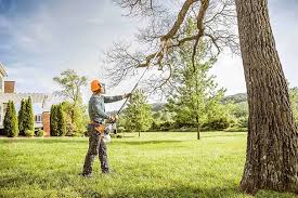 Best Lot and Land Clearing  in Barnwell, SC