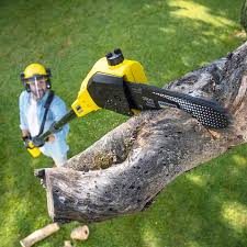 Best Pest Control for Lawns  in Barnwell, SC